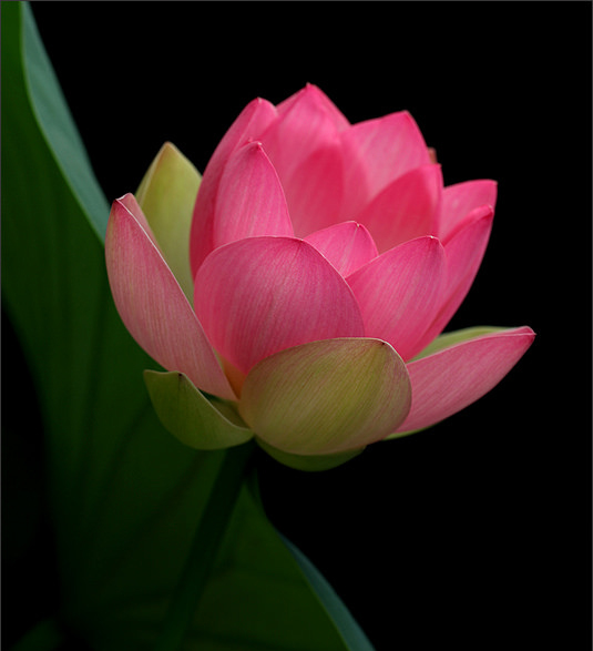 ���£���������������Դ����������