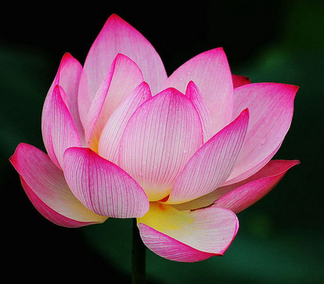 ���£���������������Դ����������