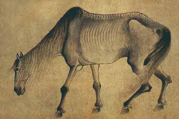 ���£���������������Դ����������