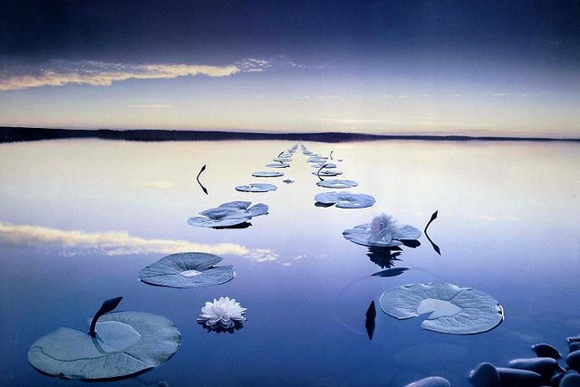 ���£���������������Դ����������