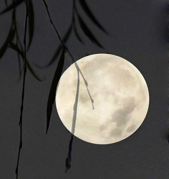 ���£���������������Դ����������