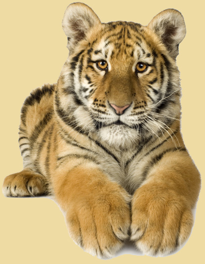 ���£���������������Դ����������