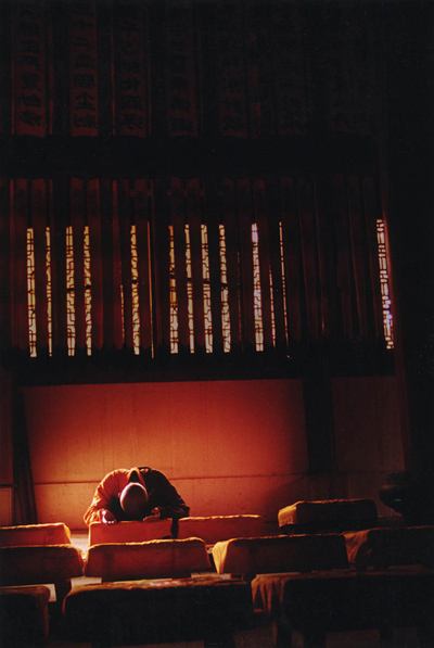 ���£���������������Դ����������