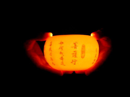 ���£���������������Դ����������