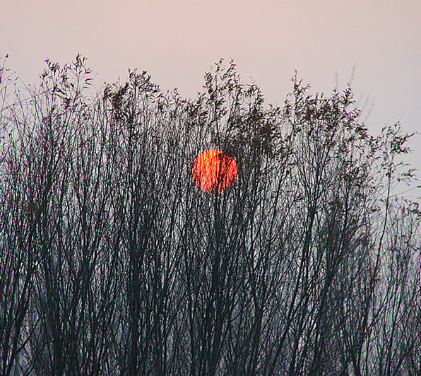 ���£���������������Դ����������