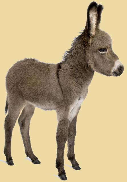 ���£���������������Դ����������