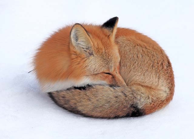 ���£���������������Դ����������