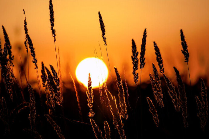 ���£���������������Դ����������