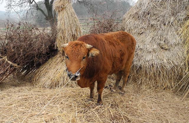 ���£���������������Դ����������