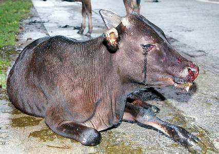 ���£���������������Դ����������