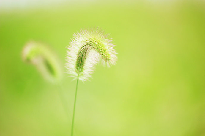 ���£���������������Դ����������