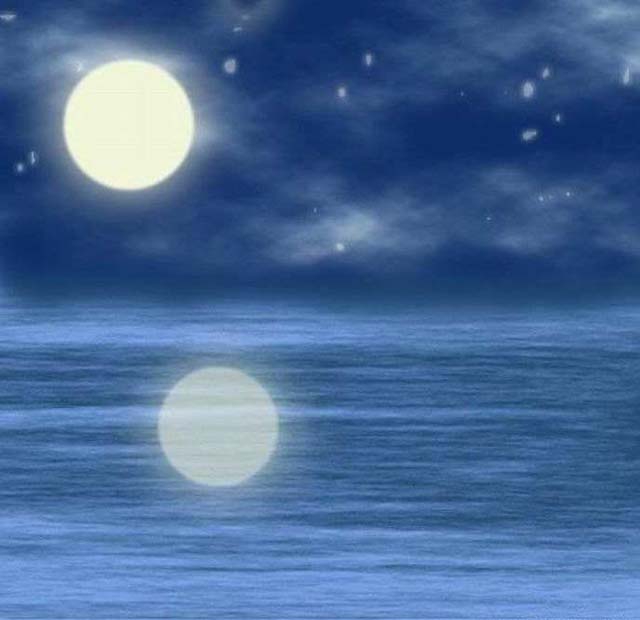 ���£���������������Դ����������