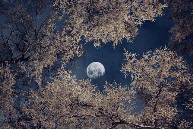 ���£�������վ��������Դ����������