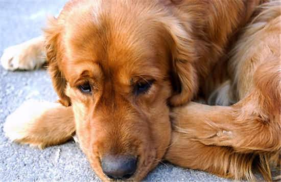 ���£���������������Դ����������