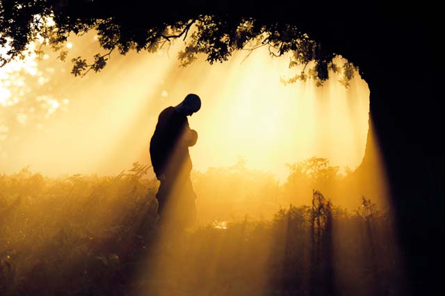 ���£���������������Դ����������