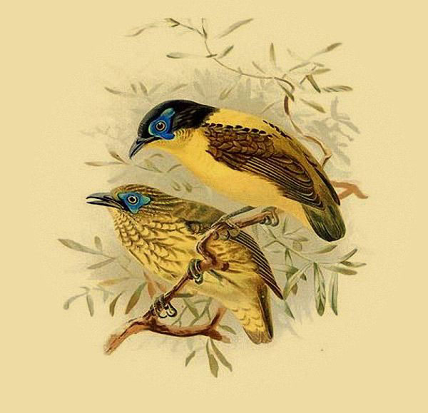 ���£���������������Դ����������