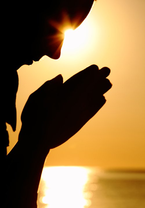 ���£���������������Դ����������