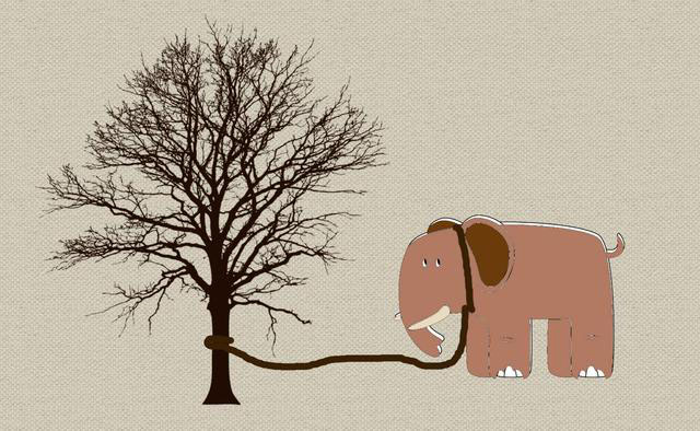 ���£���������������Դ����������