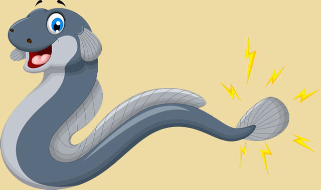 ���£���������������Դ����������