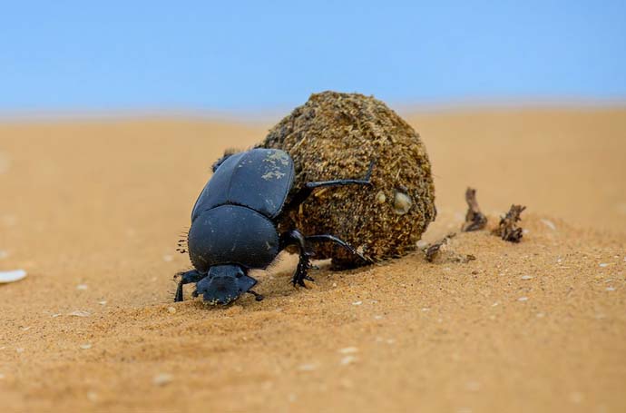 ���£���������������Դ����������