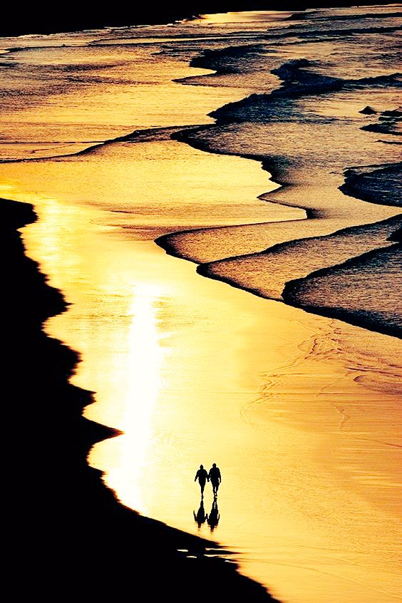 ���£���������������Դ����������