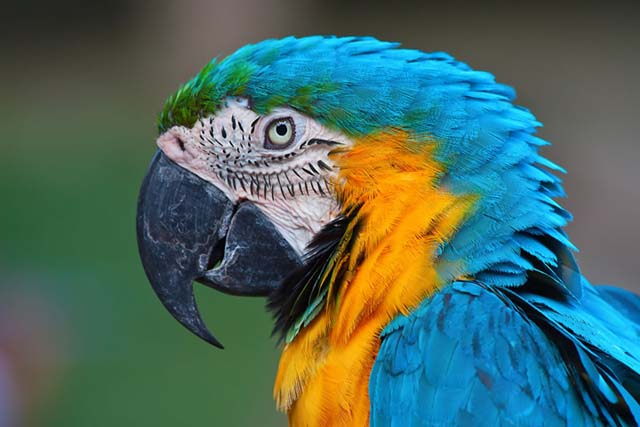 ���£���������������Դ����������