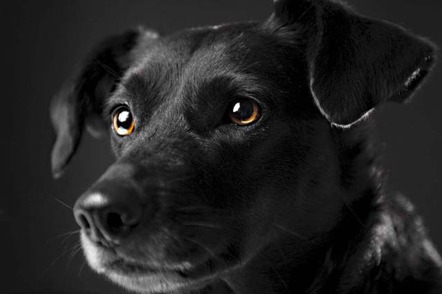 ���£���������������Դ����������