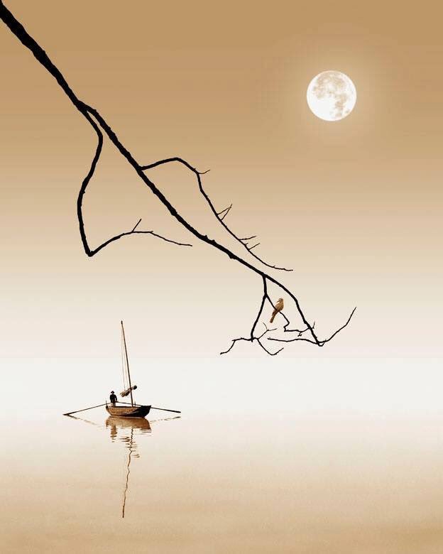 ���£���������������Դ����������