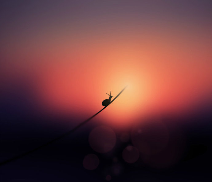 ���£�������վ��������Դ����������