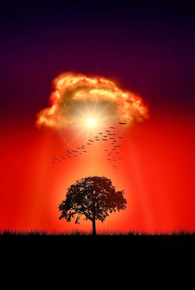 ���£�������վ��������Դ����������