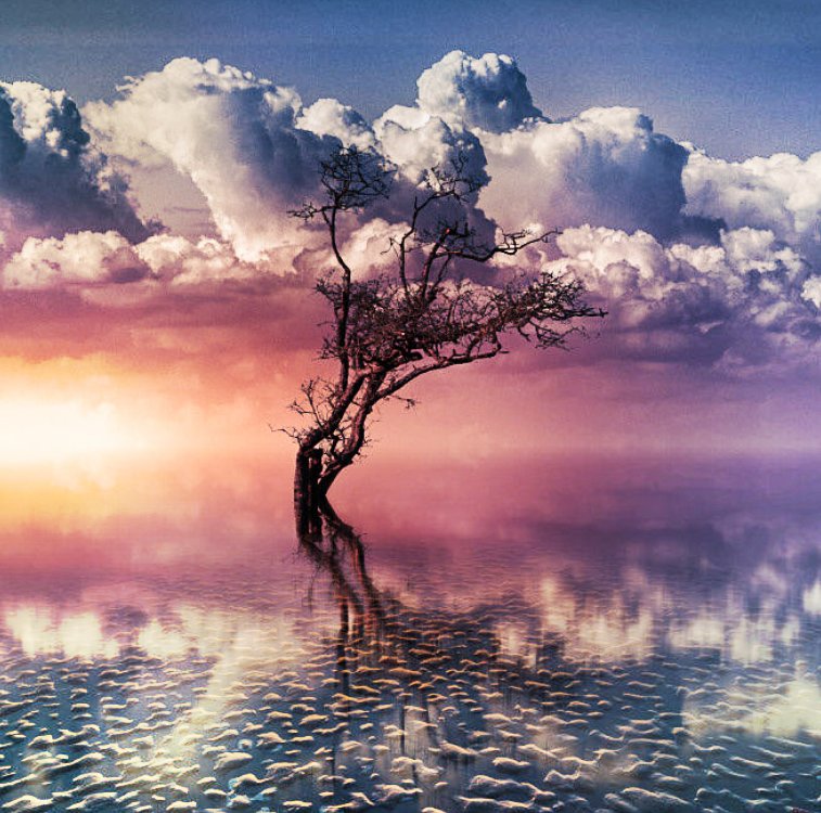 ���£�������վ��������Դ����������