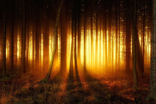 ���£�������վ��������Դ����������