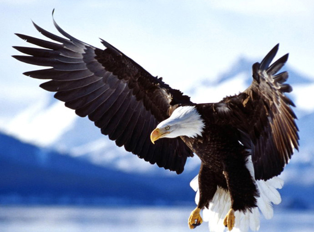 ���£���������������Դ����������