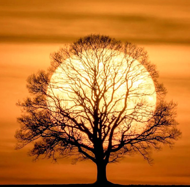 ���£�������վ��������Դ����������