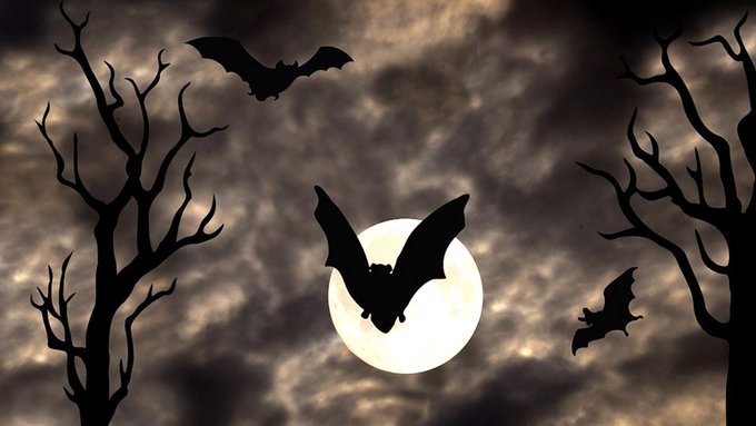 ���£���������������Դ����������