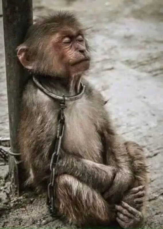 ���£�������վ��������Դ����������