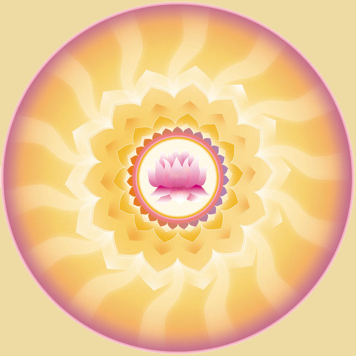 ���£�������վ��������Դ����������