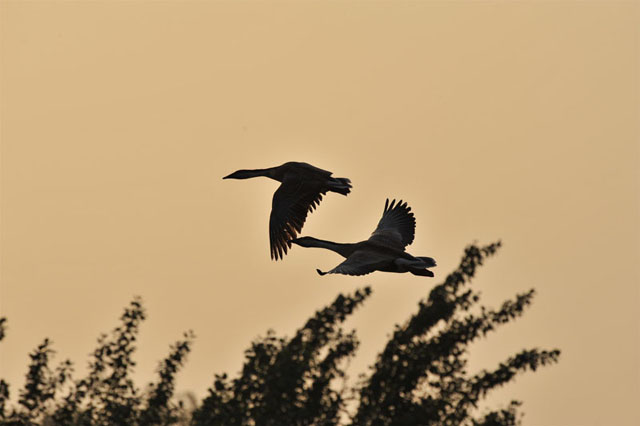 ���£���������������Դ����������