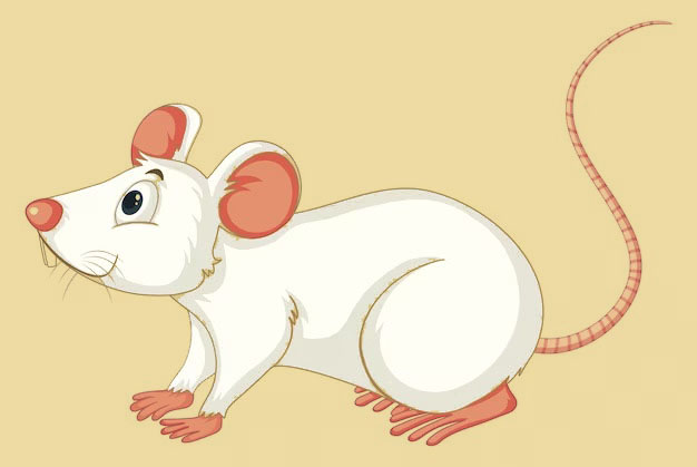 ���£���������������Դ����������