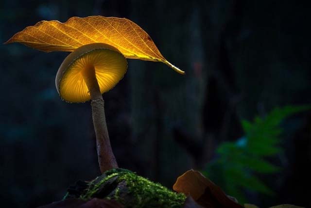 ���£���������������Դ����������