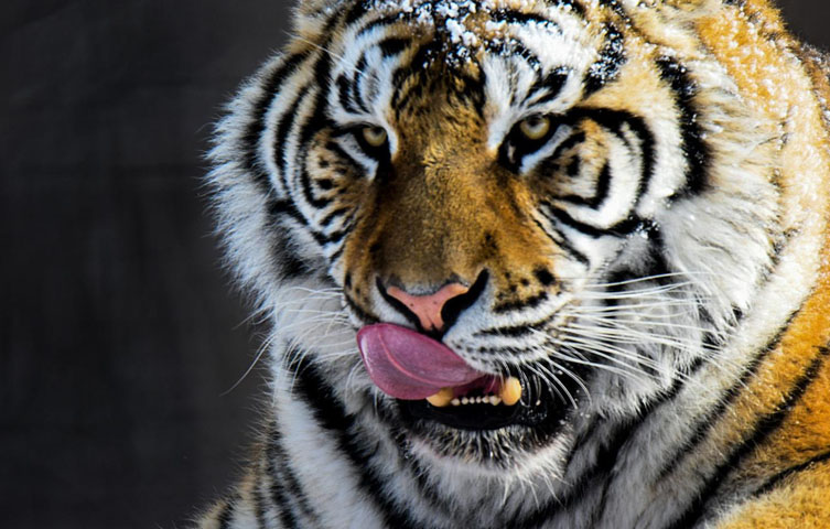 ���£���������������Դ����������