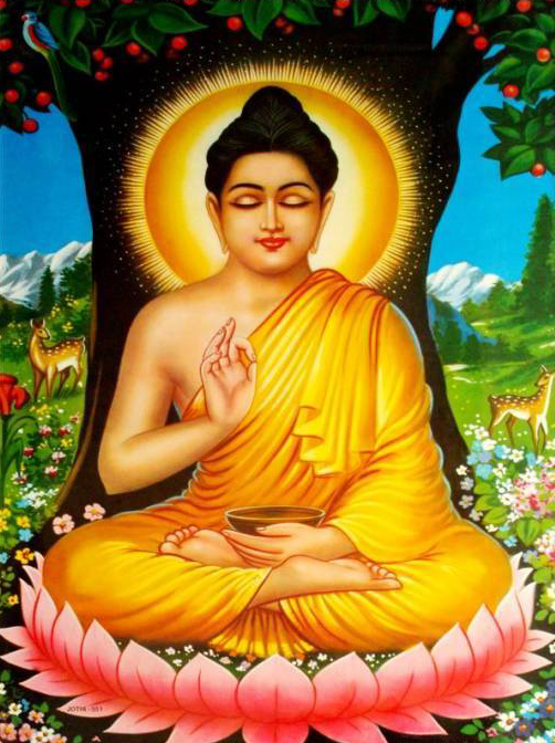 ���£���������������Դ����������