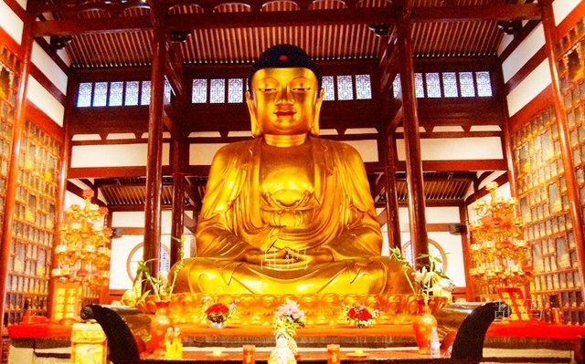 ���£���������������Դ����������