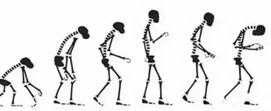 ���£���������������Դ����������