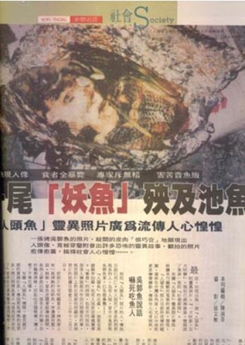 ���£���������������Դ����������