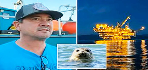 ���£���������������Դ����������