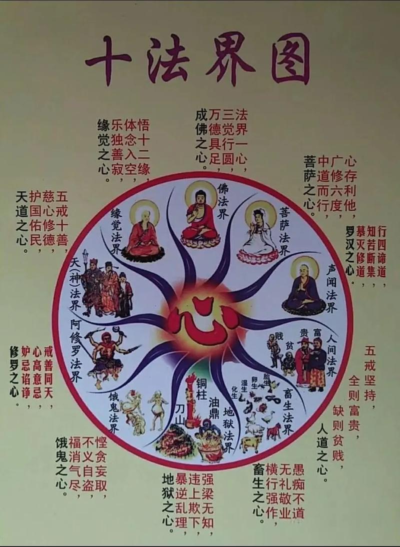 ���£���������������Դ����������