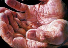 ��������ɢ�����С���ԭ���Ҹ���