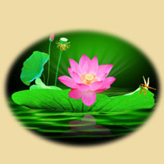 �����������ִ�����