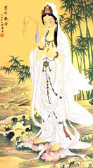 ���޹���������